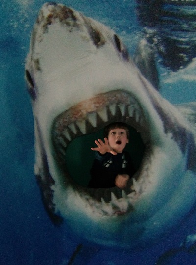 2016-02-07 17.21.28.jpg